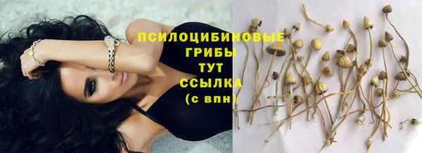 твердый Алексеевка