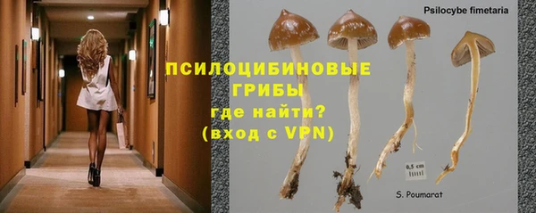 стаф Лихославль