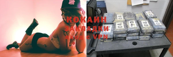 твердый Алексеевка